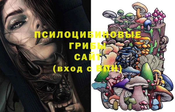 Альфа ПВП Балабаново